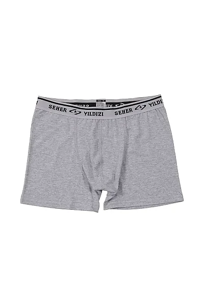 0060 Seher Erkek Elastan Boxer 6'lı Paket Gri - 4