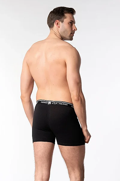 0060 Seher Erkek Elastan Boxer 6'lı Paket Siyah - 4