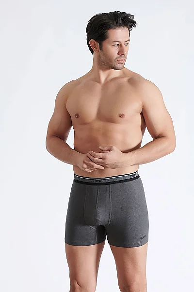 0122 Tutku Erkek Tiger Spor Boxer 6'lı - 3