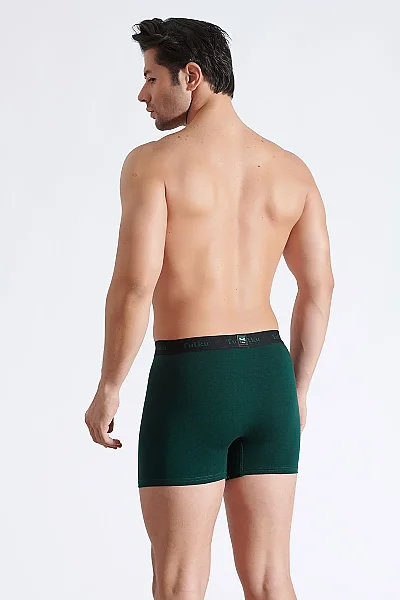 0123 Tutku Erkek Lion Spor Boxer 6'lı - 10