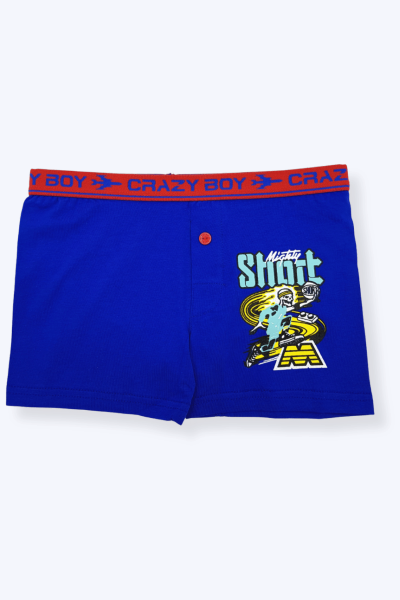 0253 Tutku Çocuk Elastan Baskılı Boxer 12'li Paket - 4