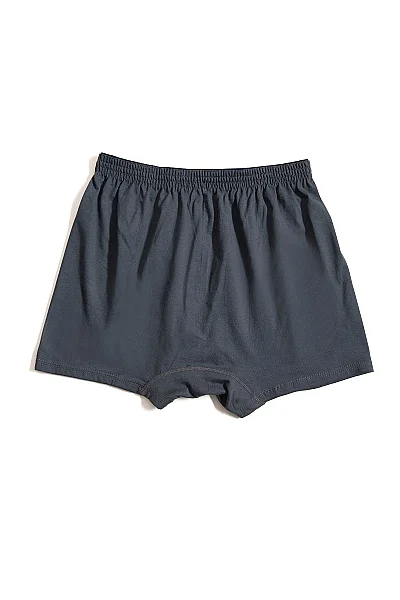 1101 Elit Erkek Havlu Bel Düz Boxer 10lu Füme - 3
