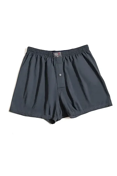 1101 Elit Erkek Havlu Bel Düz Boxer 10lu Füme (1)