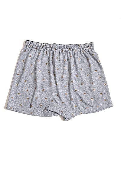 1102 Elit Erkek Havlu Bel Desenli Boxer 10lu Gri - 7