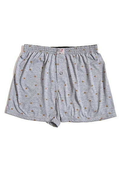 1102 Elit Erkek Havlu Bel Desenli Boxer 10lu Gri - 8