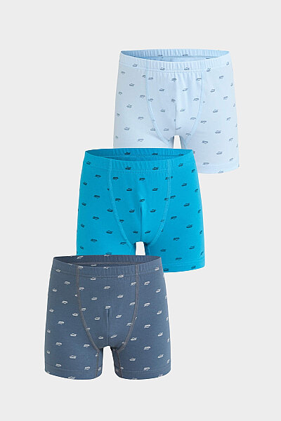 5075 Berrak Erkek Çocuk Boxer 3lü