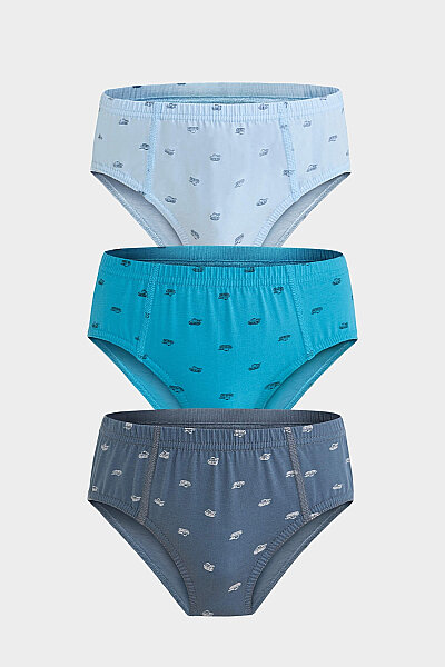 5076 Berrak Erkek Çocuk Slip 3lü