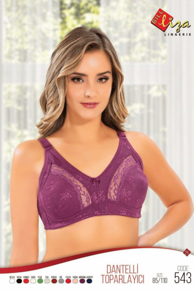 543 Liza Toparlayıcı Sütyen 6'lı - LİZA SÜTYEN