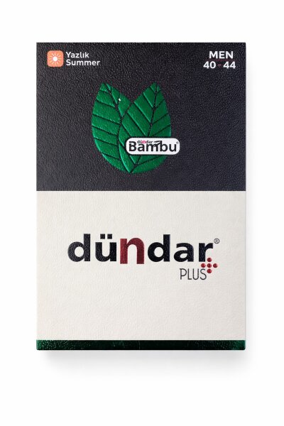 5534 Dündar Erkek Bambu Penye Çorap M51 - 3