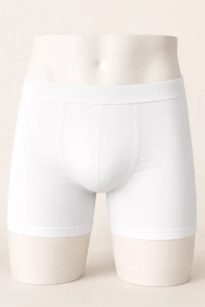 600 Layza Form Erkek Dikişsiz Boxer Beyaz 