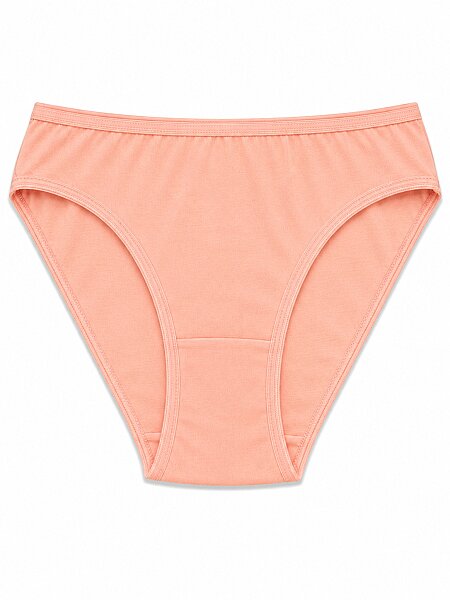 6051 Gümüş Kadın Bikini 12li Somon