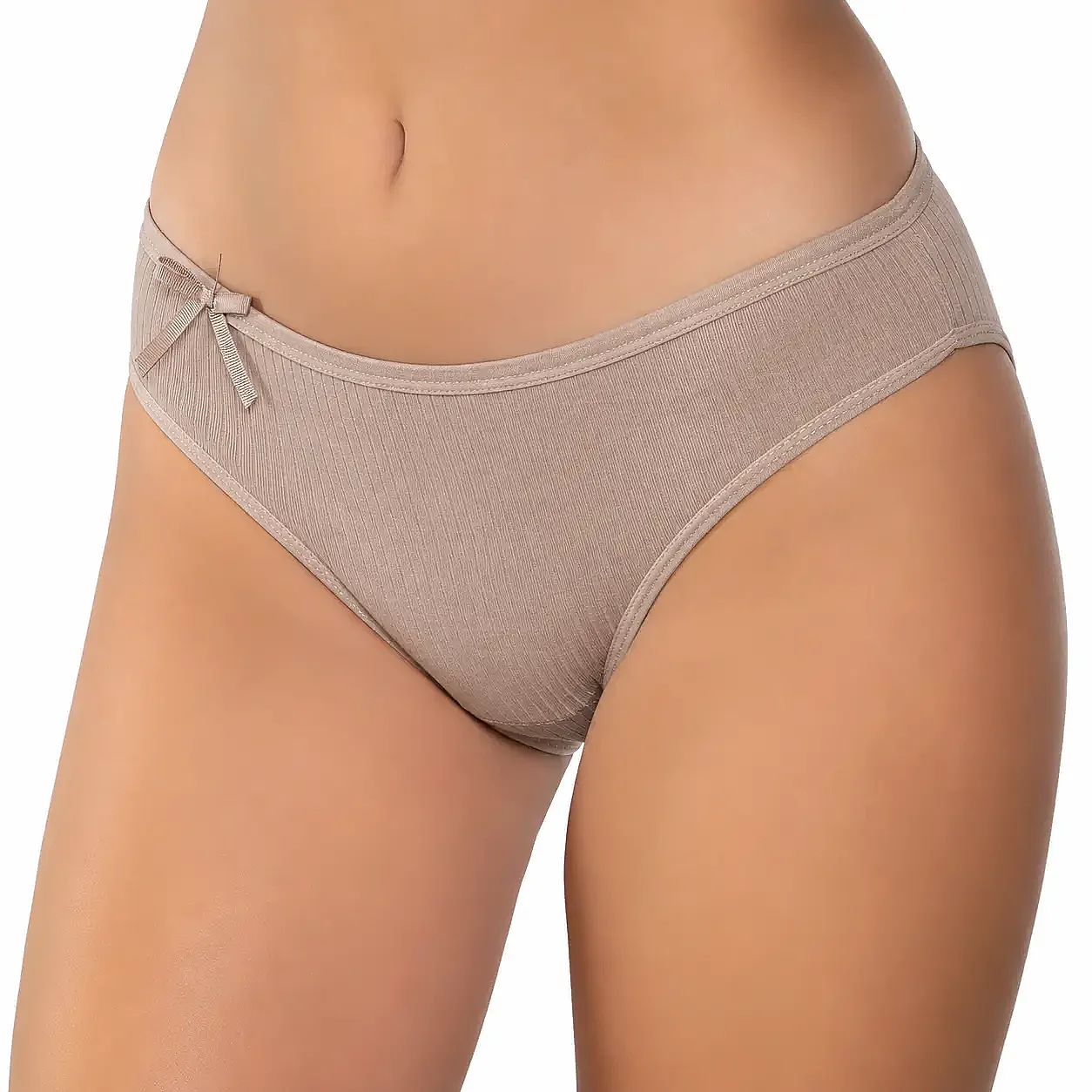 6095 Gümüş Kadın Bikini 12'li Vizon - 1