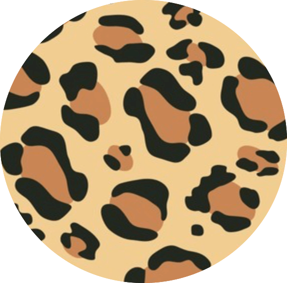 1000 Liza Desteksiz Telli Sütyen 6'lı Paket Leopar Leopar